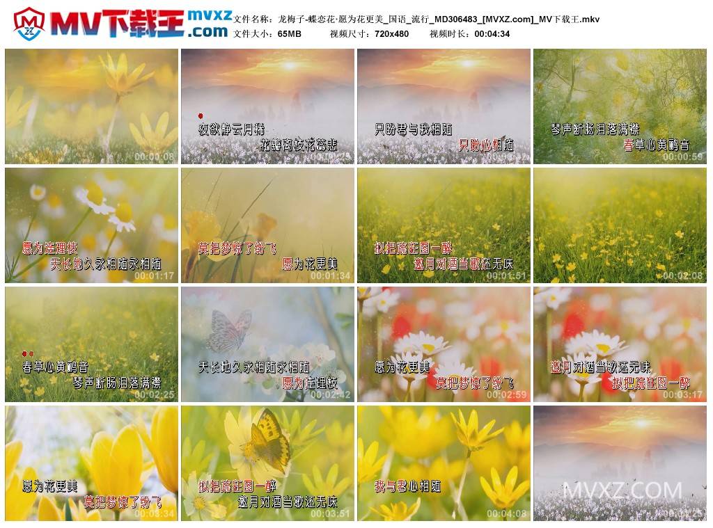 龙梅子-蝶恋花·愿为花更美_国语_流行_MD306483